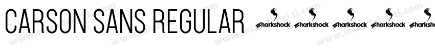 Carson Sans Regular字体转换